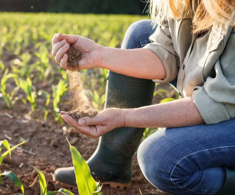 Soil Testing
