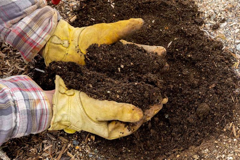 Soil pH Imbalance