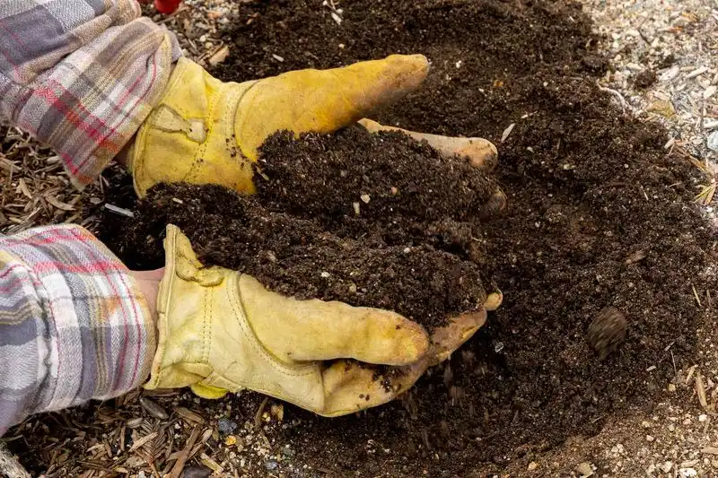 Soil pH Imbalance