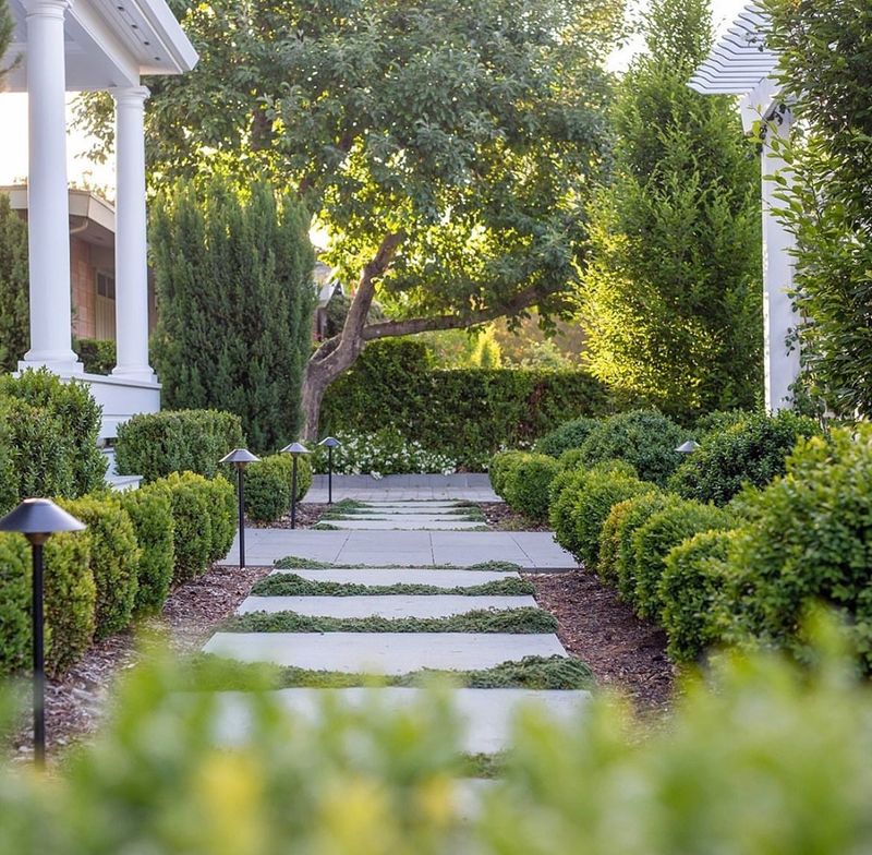 Symmetrical Plantings Around Entryways