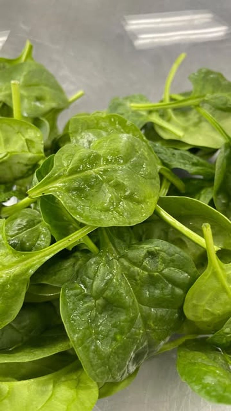 Spinach