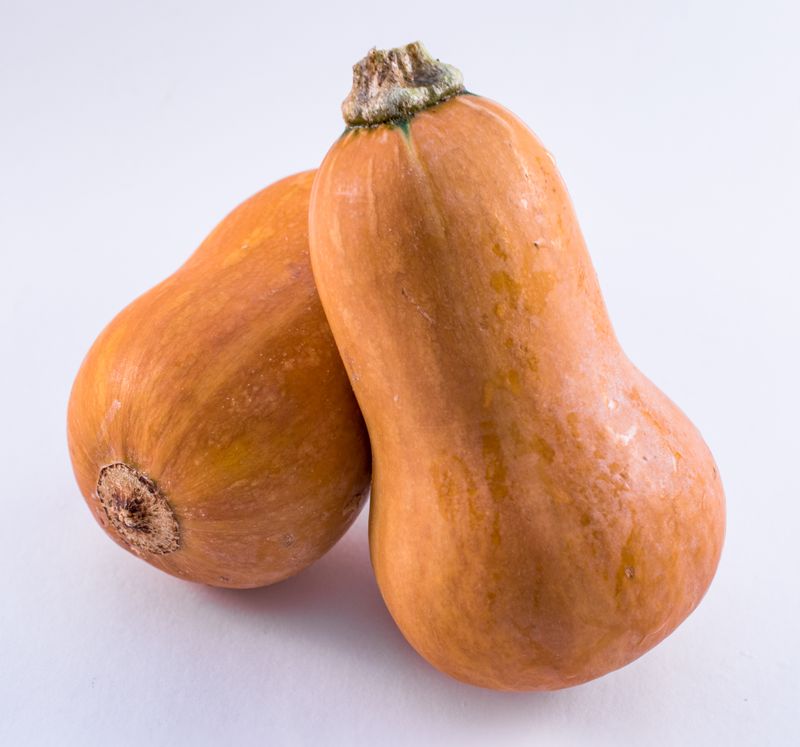 Squash