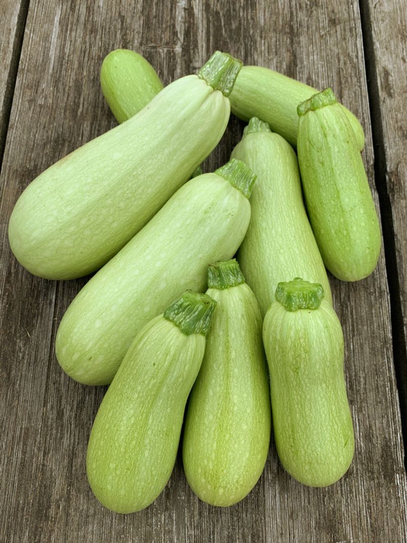 Squash
