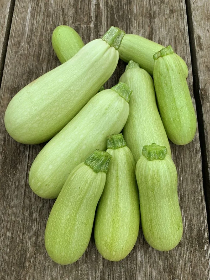 Squash