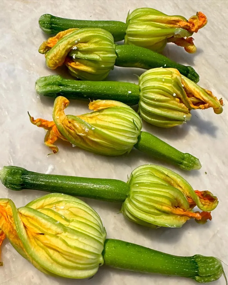 Squash Blossoms