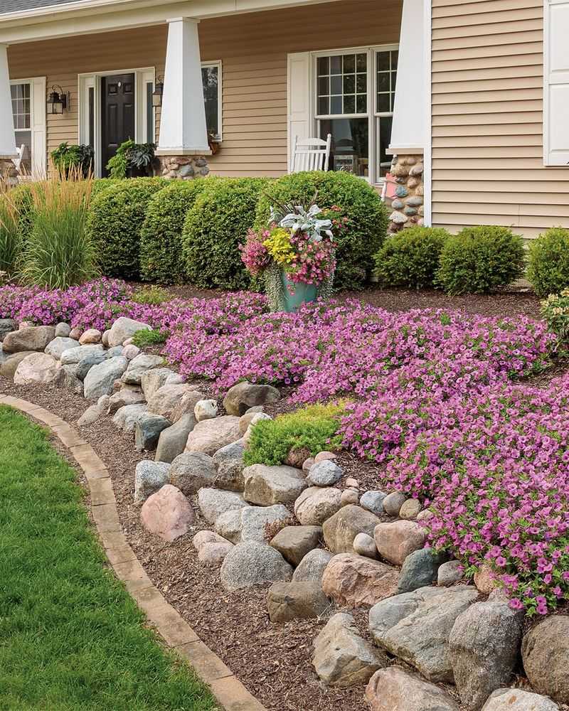 Contrasting Rock Color With Foliage