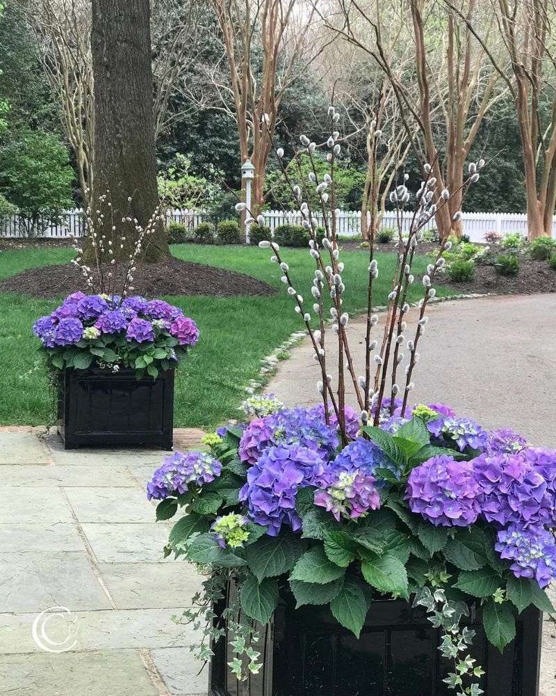 Statement Planters