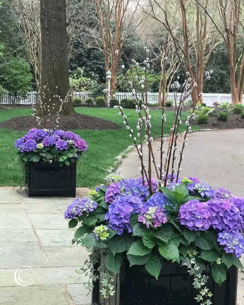 Statement Planters