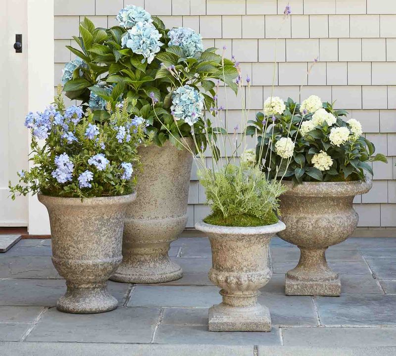 Statement Planters