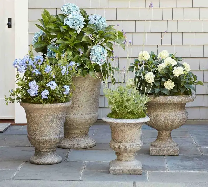 Statement Planters