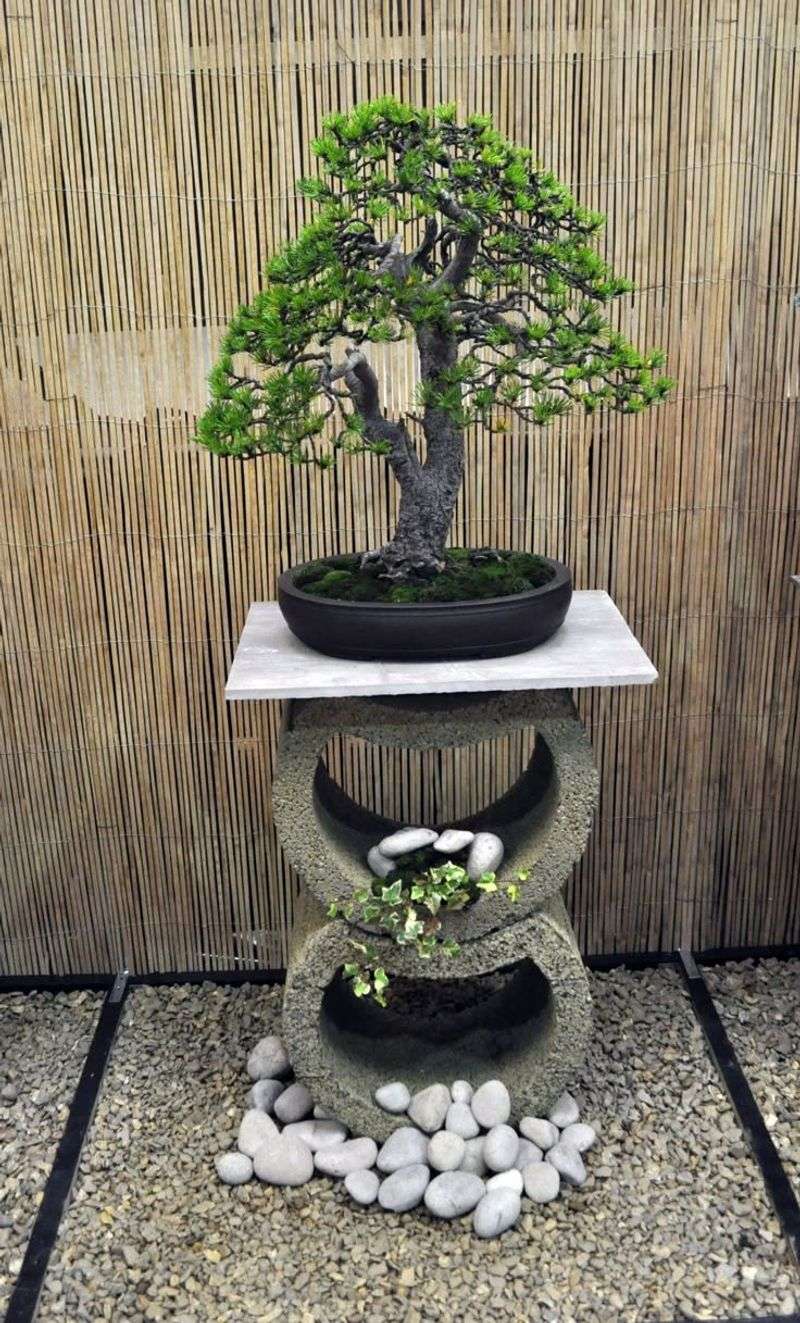 Rock Bonsai Displays