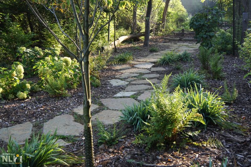 Stone Pathways