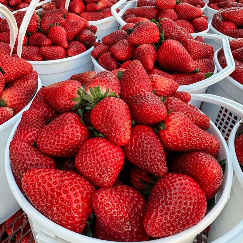 Strawberries