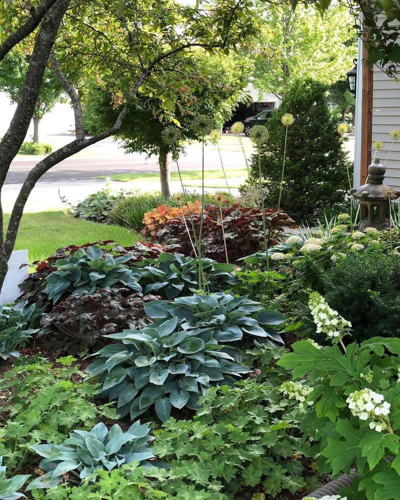 Shade Gardens with Ferns and Hostas