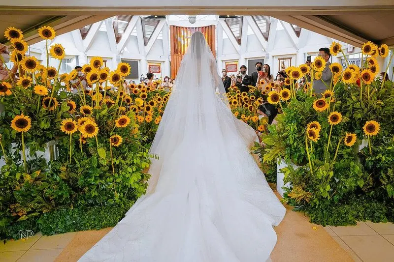 Sunflower Aisles