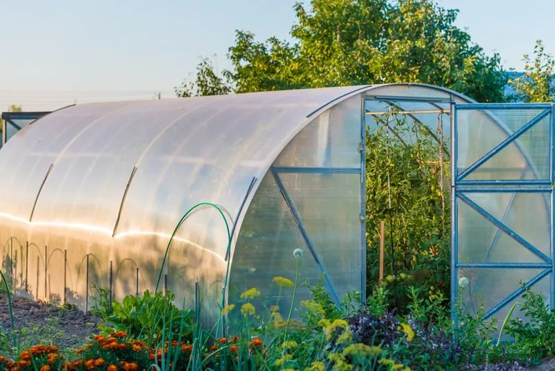 Sustainability Practices