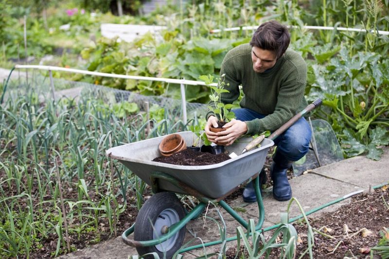 Sustainable Living