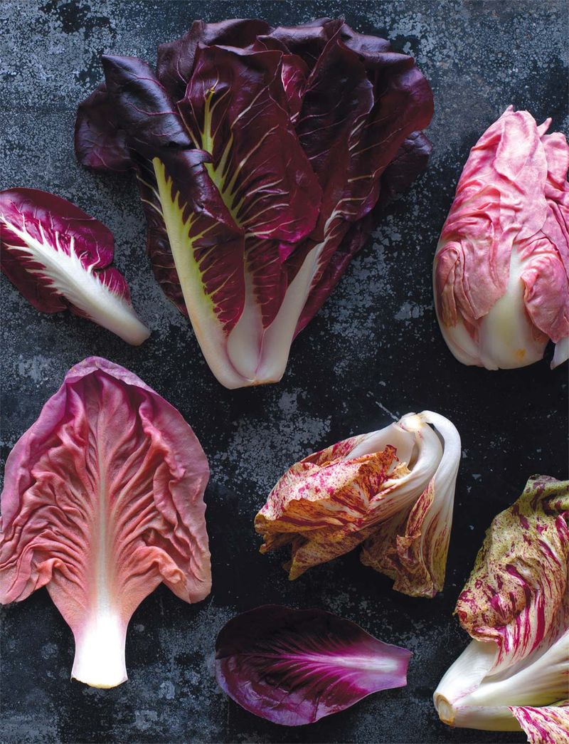Radicchio