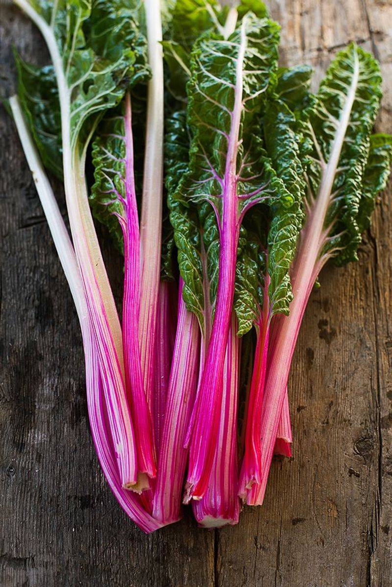 Swiss Chard