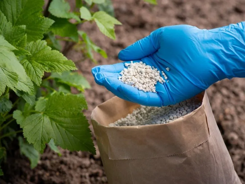 Synthetic Fertilizer Use