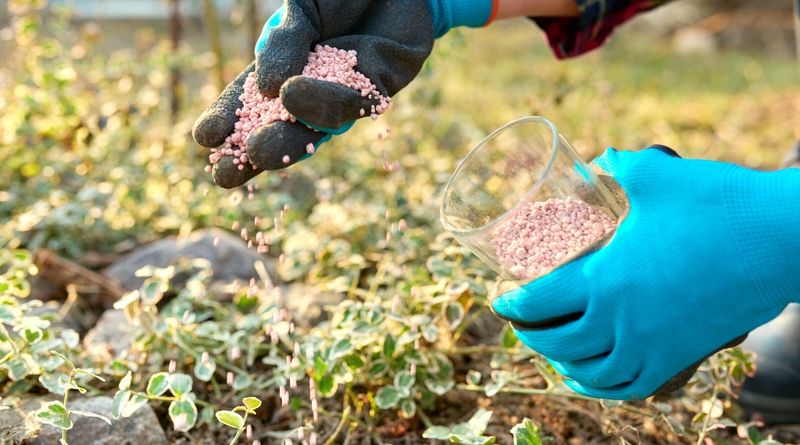 Synthetic Fertilizers Overuse