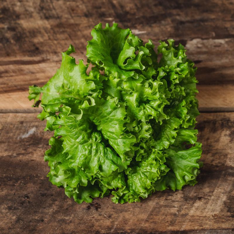 Leaf Lettuce
