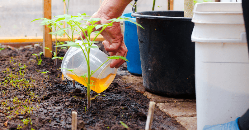 Tea for Compost Acceleration