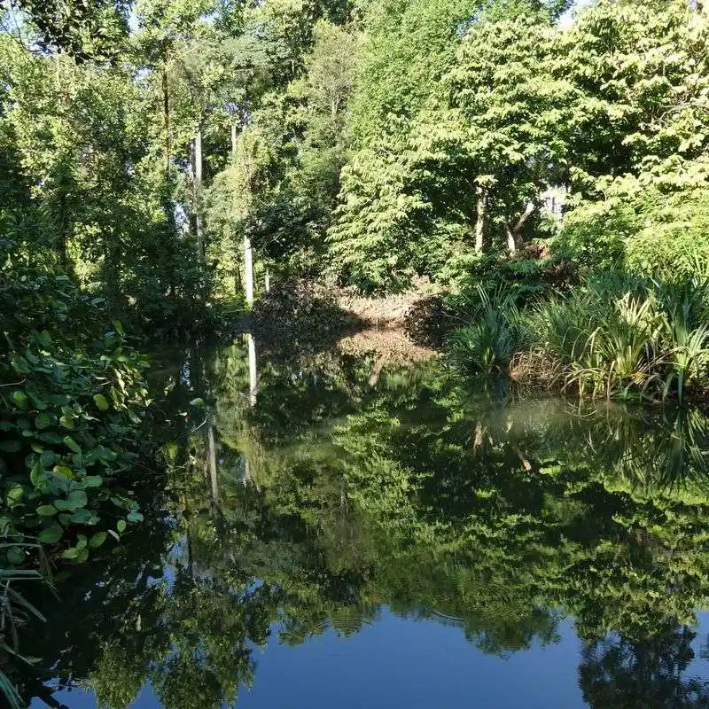 The Secret Arboretum of Borneo
