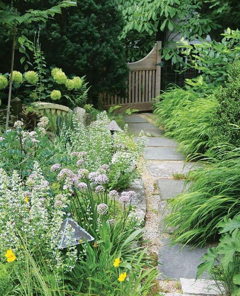 The Appeal of Pollinator Gardens