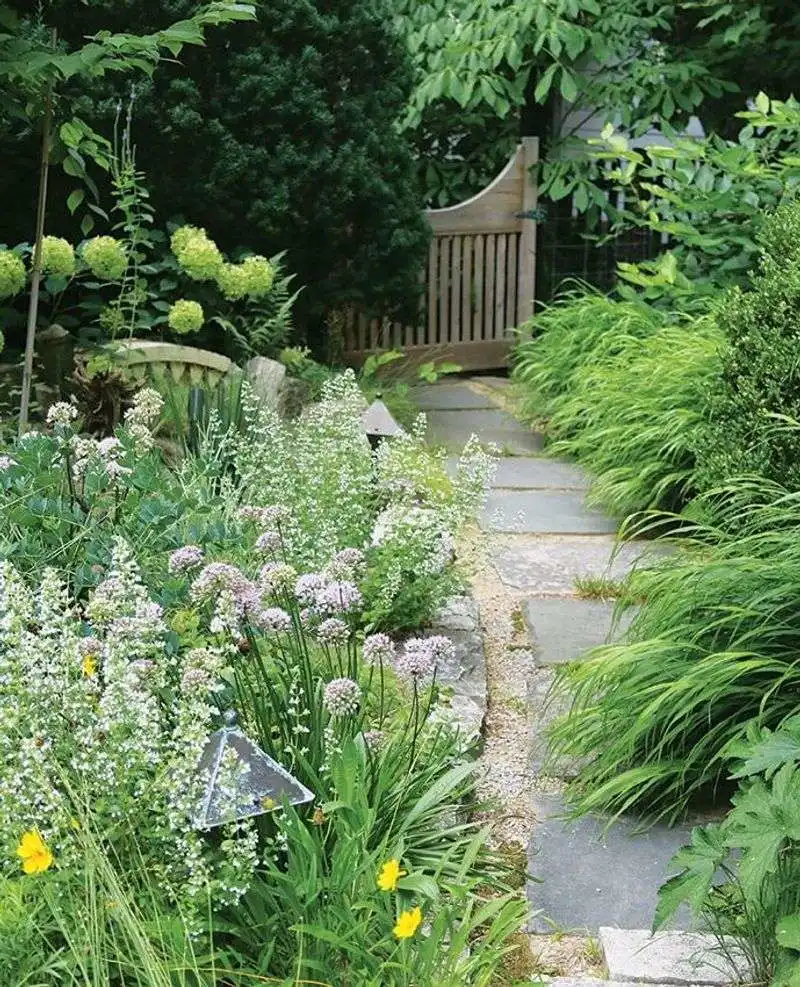 The Appeal of Pollinator Gardens