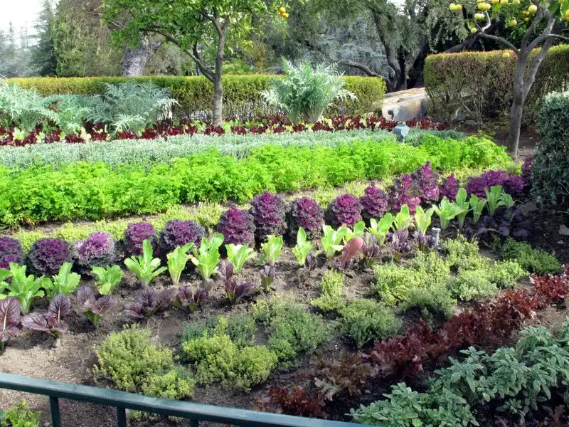The Boom of Edible Landscapes