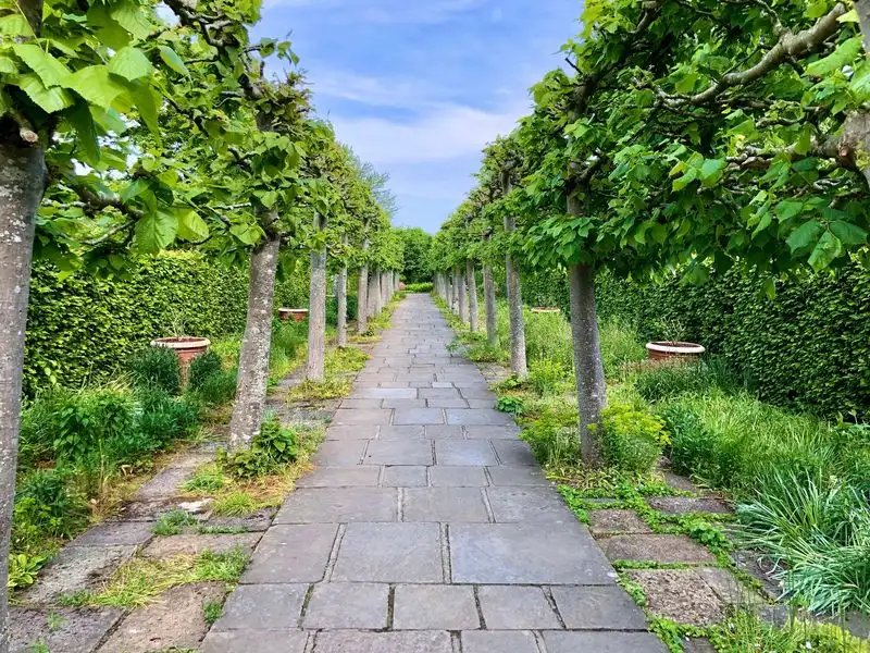 The Decline of Formal Hedges