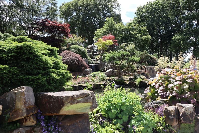 The Disappearance of Rock Gardens