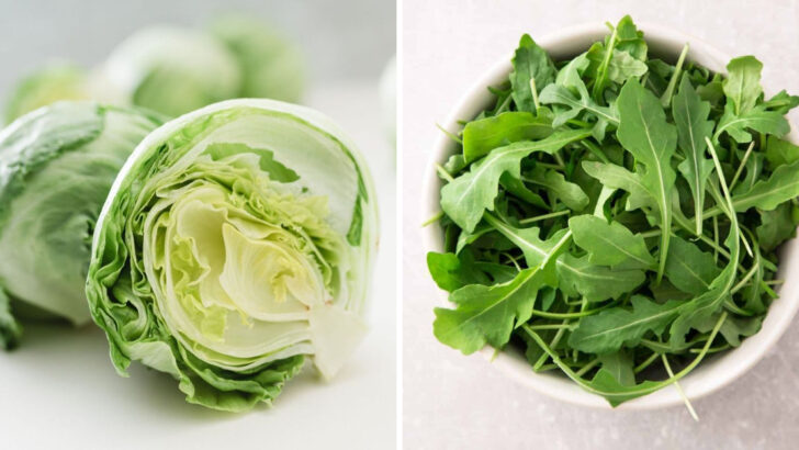 The Healthiest Lettuce? These 20 Varieties Actually Offer Something Extra