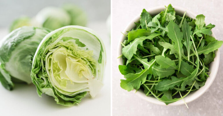 The Healthiest Lettuce? These 20 Varieties Actually Offer Something Extra
