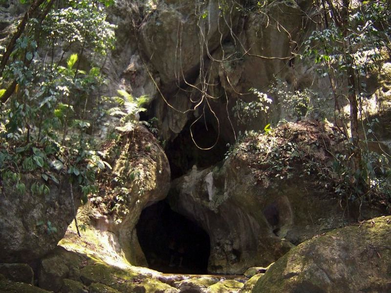 The Phantom Greenery of Belize