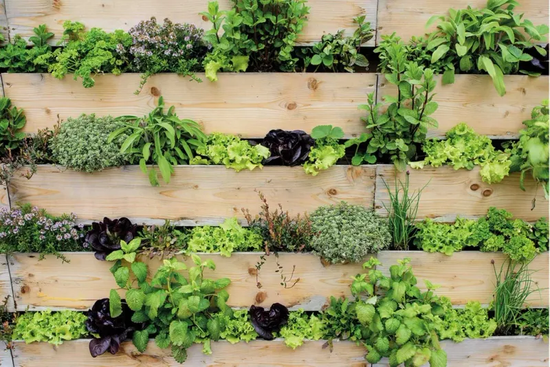 The Instagrammable Vertical Gardens