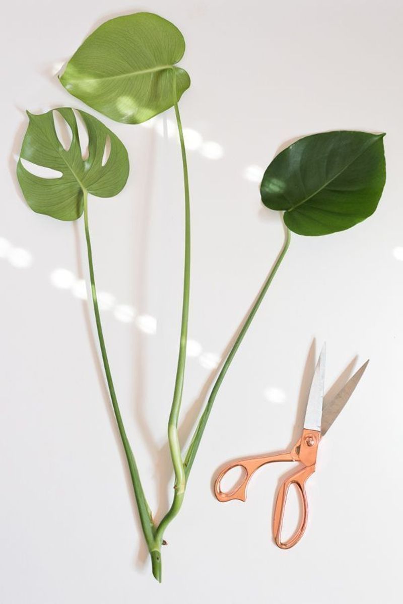 The Propagation Addiction