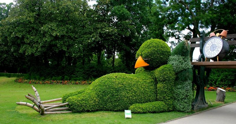 The Quiet Exit of Topiary Art