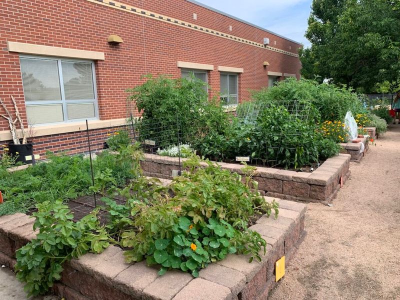 The Schoolyard Garden