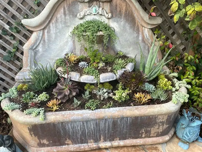 The Spirited Succulent Pot