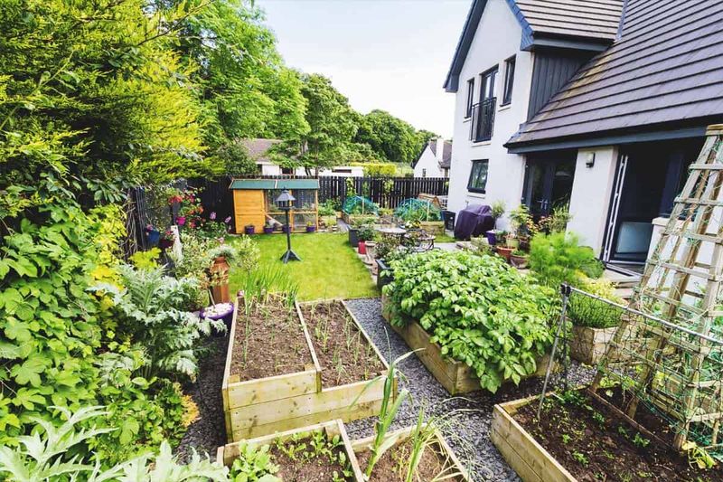 The Sustainable Homestead
