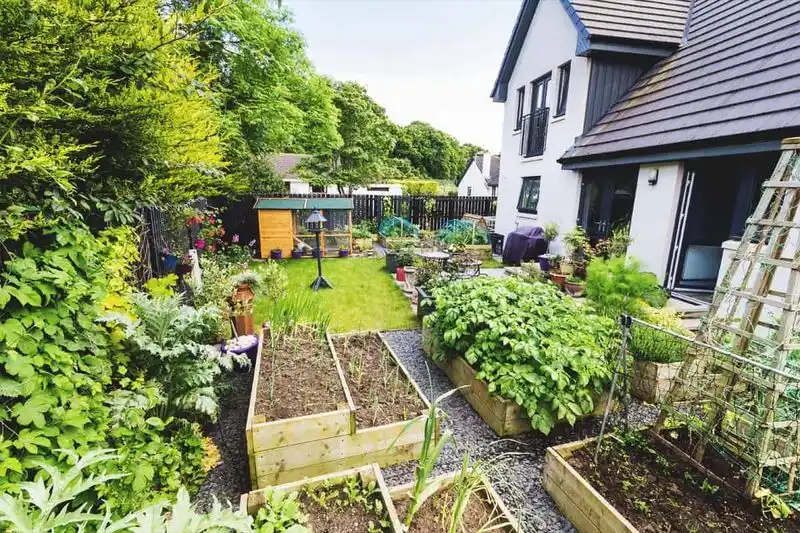 The Sustainable Homestead