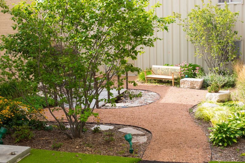 The Therapeutic Garden