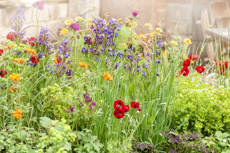 The Trending Cottagecore Gardens