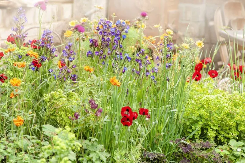 The Trending Cottagecore Gardens