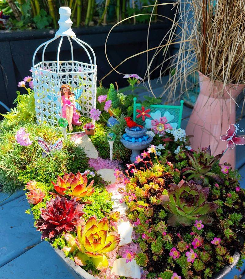 Themed Gardens