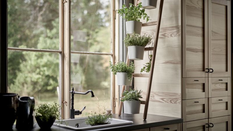 Tiny Herb Oasis