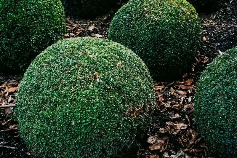 Tired Trend: Excessive Garden Ornaments