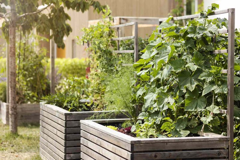 Tired Trend: Synthetic Planters